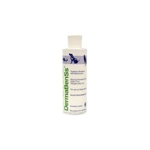 Amazon.com : DermaPet" Benzoyl Peroxide Plus Shampoo ...