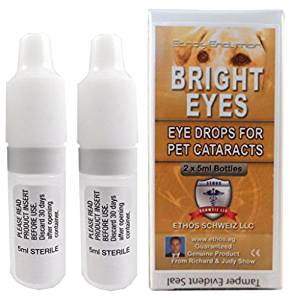 Amazon.com : Carnosine Eye Drops For Dogs With Cataracts ...