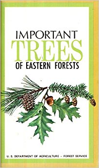 Important trees of Eastern forests: R. W Neelands: Amazon ...
