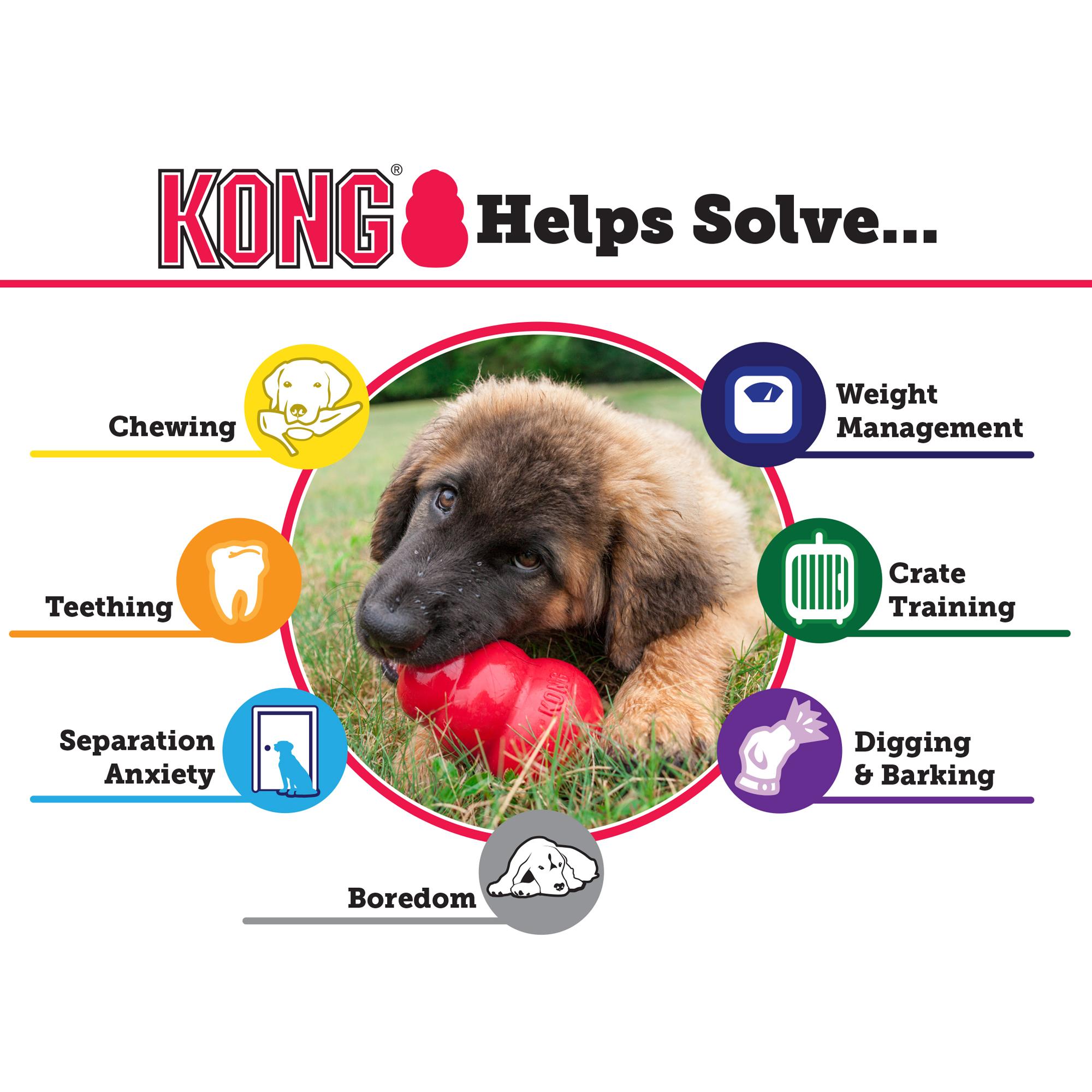 Pet Supplies : Pet Chew Toys : KONG Puppy Binkie Dog Toy ...