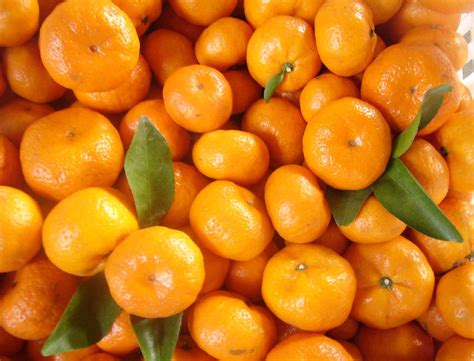 Mandarin oranges to cost more - The Rakyat Post - The ...