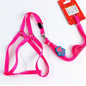 Amazon.com : Colorfulhouse Pet Paw Dog Harness & Leash Set ...