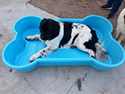 Amazon.com : One Dog One Bone Dog Pool (Bone Shaped) : Pet ...