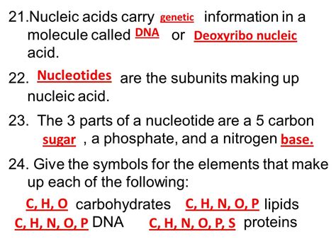 What Elements Make Up Carbohydrates Lipids Proteins And ...