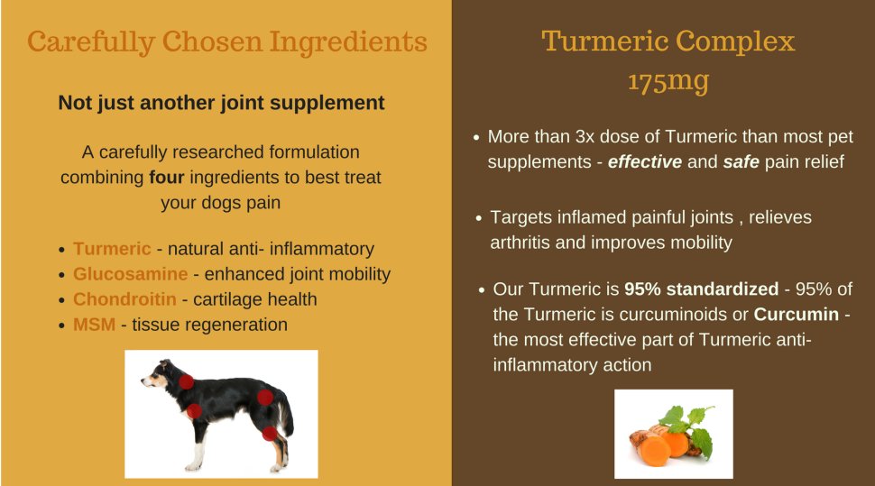 Amazon.com : Turmeric Hip & Joint Complex for Dogs with ...