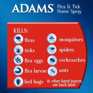 Amazon.com: Adams Flea and Tick Home Spray, 24 Oz: Pet ...