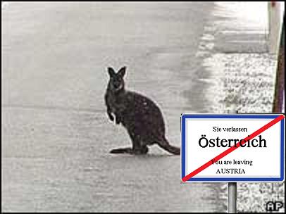Greetings from Austria. (No kangaroos here ...