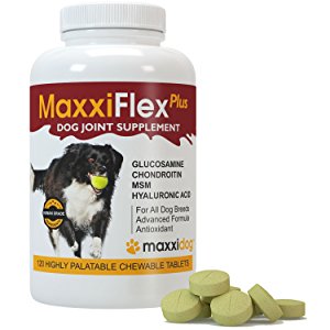 Amazon.com : Dog Joint Supplement - Glucosamine ...