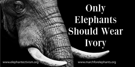 Only Elephants Should Wear Ivory!