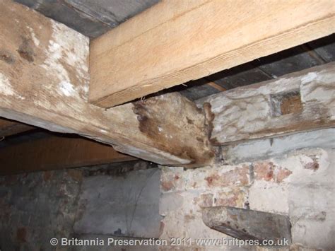 Timber Decay | York Area | Wet rot | Dry rot | Dryfix ...