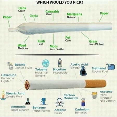 Marijuana vs cigarettes