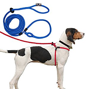 : Harness Lead ESCAPE PROOF, REDUCES PULL Dog Harness ...