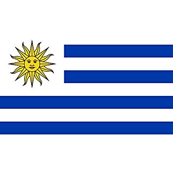 Amazon.com : Uruguay 3ft x 5ft Printed Polyester Flag ...