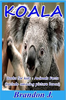 Koala books for kids: Animals Facts (Include amazing ...