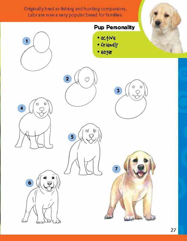 Learn to Draw Dogs & Puppies: Step-by-step instructions ...