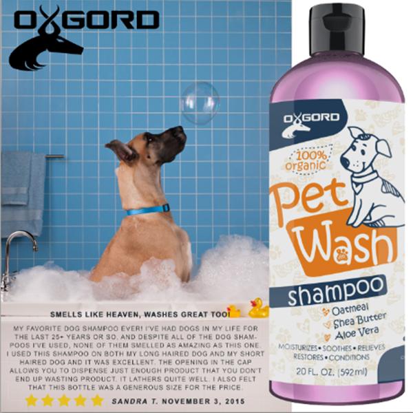 : Amazon.com: Paws & Pals Natural Oatmeal Dog-Shampoo And ...