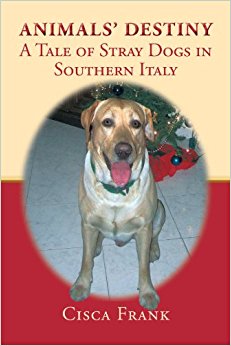 Animals' Destiny: A Tale of Stray Dogs in Southern Italy ...