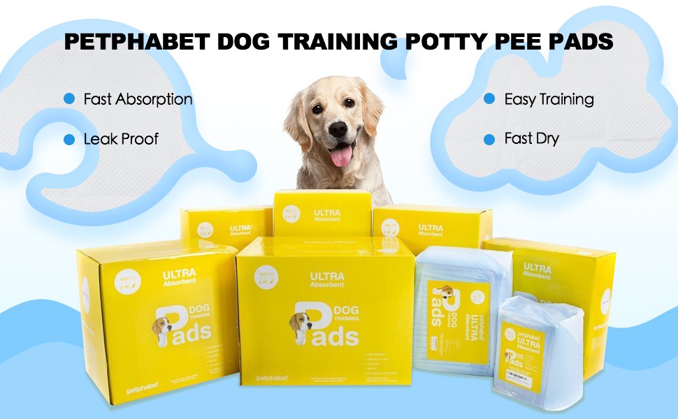 Amazon.com : Pee Pads- 100 Count - 23" x 24" Dog Pads for ...