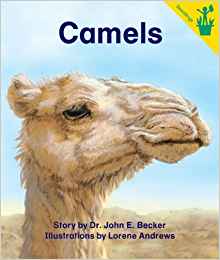 Early Reader: Camels: John Becker: 9780845499092: Amazon ...