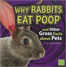 Why Rabbits Eat Poop and Other Gross Facts about Pets ...