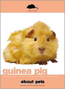 Guinea Pig (About Pets): About Pets: 9780743445276: Amazon ...