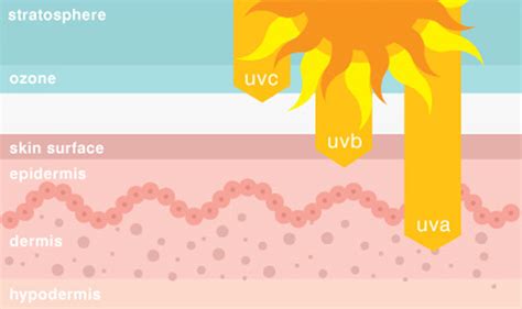 Guide to Sunscreen | What Type Is For You | Teenage Magazine