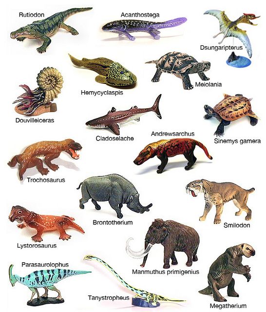 53 best images about prehistoric life on Pinterest ...