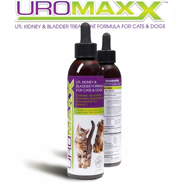Amazon.com : UroMAXX Urinary Tract, Kidney & Bladder ...