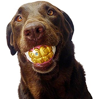 Pet Supplies : Humunga Bling Rock Star Teeth Shaped Ball ...