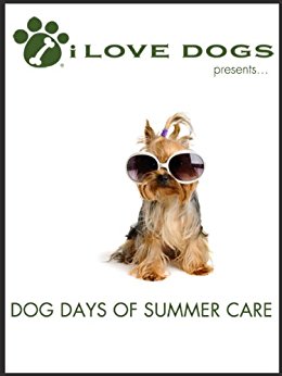 Dog Days of Summer Care - Kindle edition by Amelia Lerutte ...