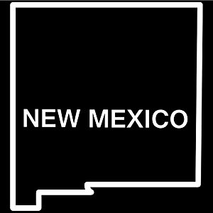 Amazon.com - New Mexico State Outline Decal Sticker (white ...
