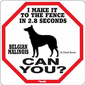 Amazon.com : Belgian Malinois 2.8 Seconds Sign : Yard ...