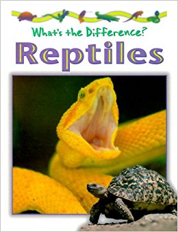 Reptiles (What's the Difference? (Capstone)): Stephen ...