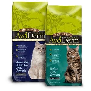 Pet Shampoos : Amazon.com: AvoDerm Natural Oatmeal Formula ...