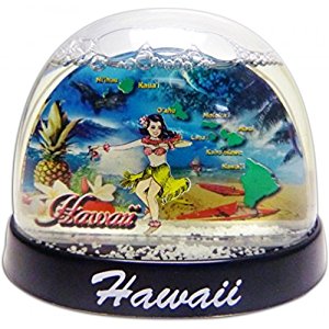 Amazon.com - Hawaii Snow Glitter Water Globe Isle Map ...