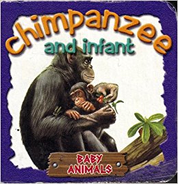 Chimpanzee and Infant (Baby Animals): 9781869029098 ...