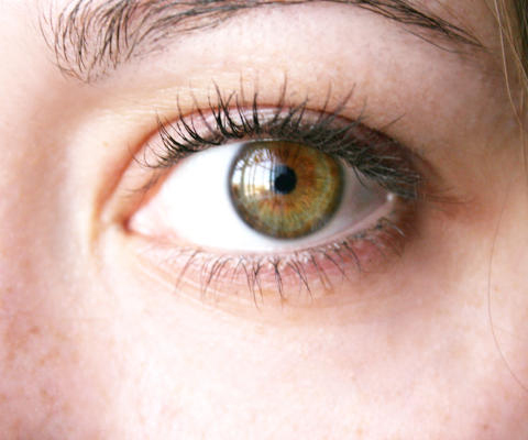 People with Hazel eye color are often termed as elegant ...