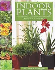 Indoor Plants: The Essential Guide to Choosing and Caring ...