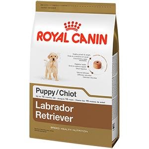Amazon.com: ROYAL CANIN BREED HEALTH NUTRITION Labrador ...