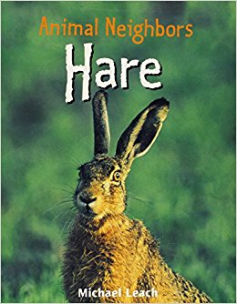 Hare (Animal Neighbors): Michael Leach: 9781404245747 ...