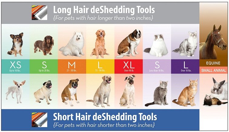 FURminator Large Dog Short Hair deShedding Tool