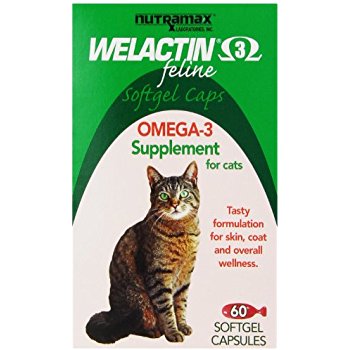 Amazon.com : Welactin Feline Liquid, 4-Ounce : Pet Fish ...