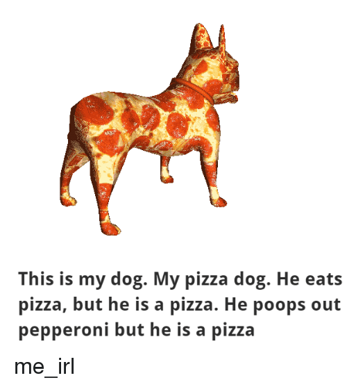 This Is My Dog My Pizza Dog He Eats Pizza but He Is a ...