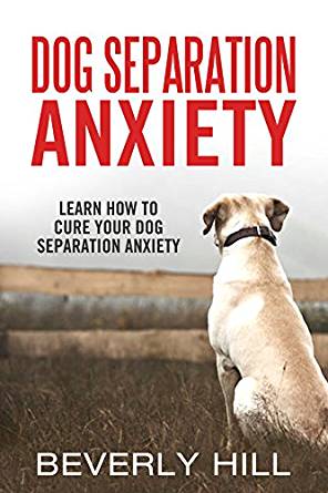 DOG SEPARATION ANXIETY: Learn How to Cure Your Dog ...
