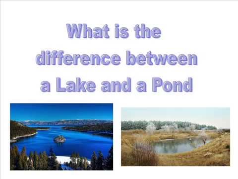 Lake Or Pond - YouTube
