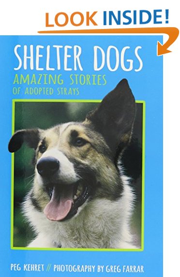 Animal Shelters: Amazon.com