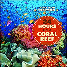 24 Hours on a Coral Reef (Day in an Ecosystem): Virginia ...