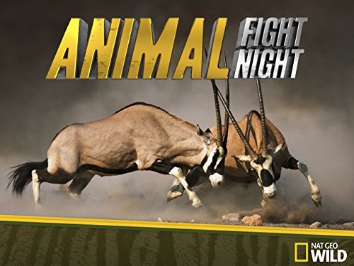 Amazon.com: Animal Fight Night Season 4: Amazon Digital ...