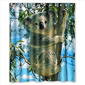 Amazon.com: lovely koala art,cute koala bear pattern ...