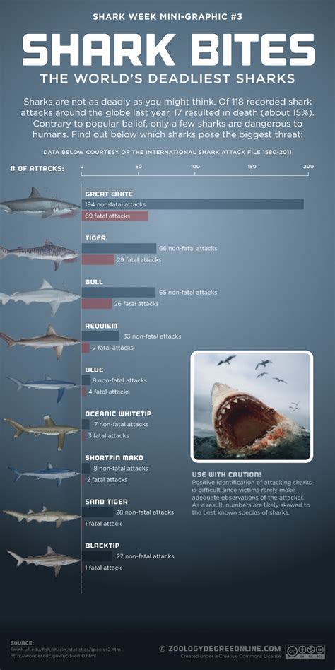 Shark Bites - The World's Deadliest Sharks | Visual.ly